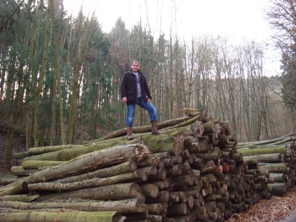 lumber