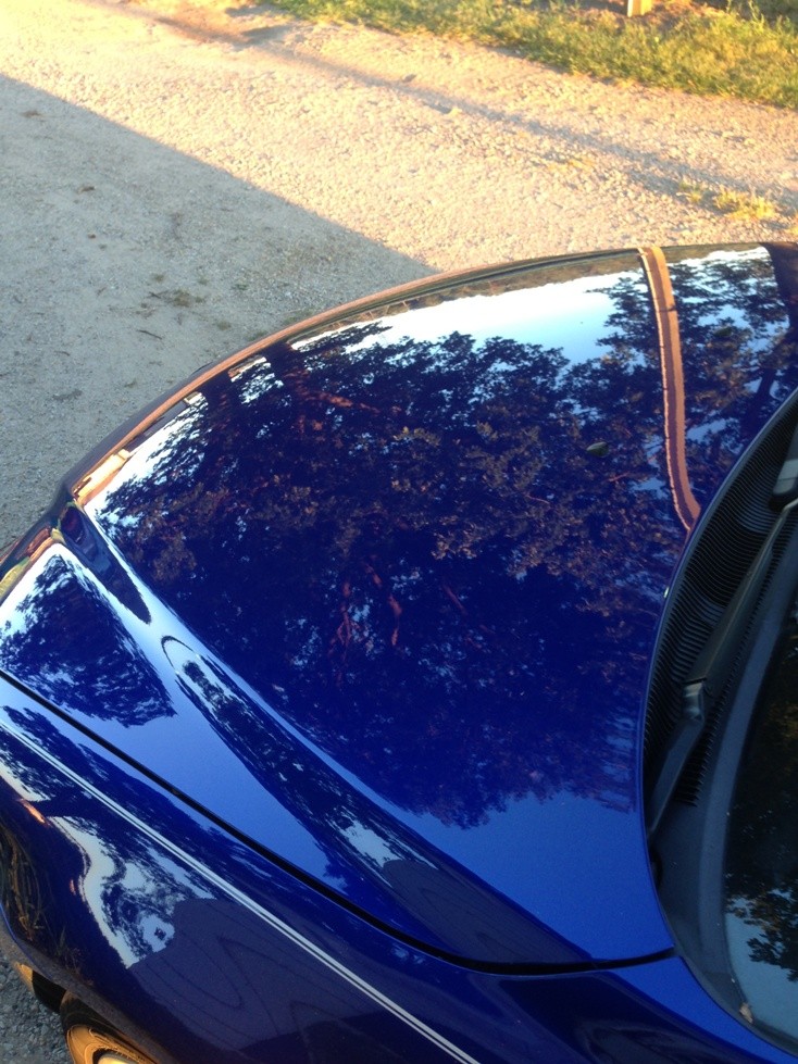 M6_hood_reflection