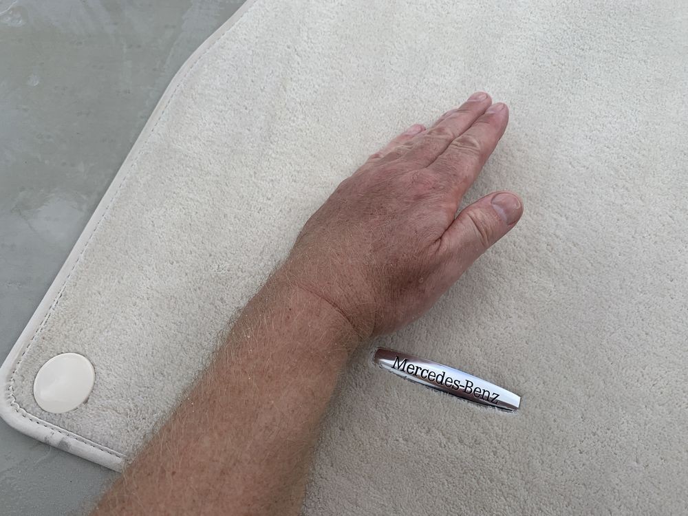 Machine Scrubbing Carpets FLEX PE14 303 Mike Phillips