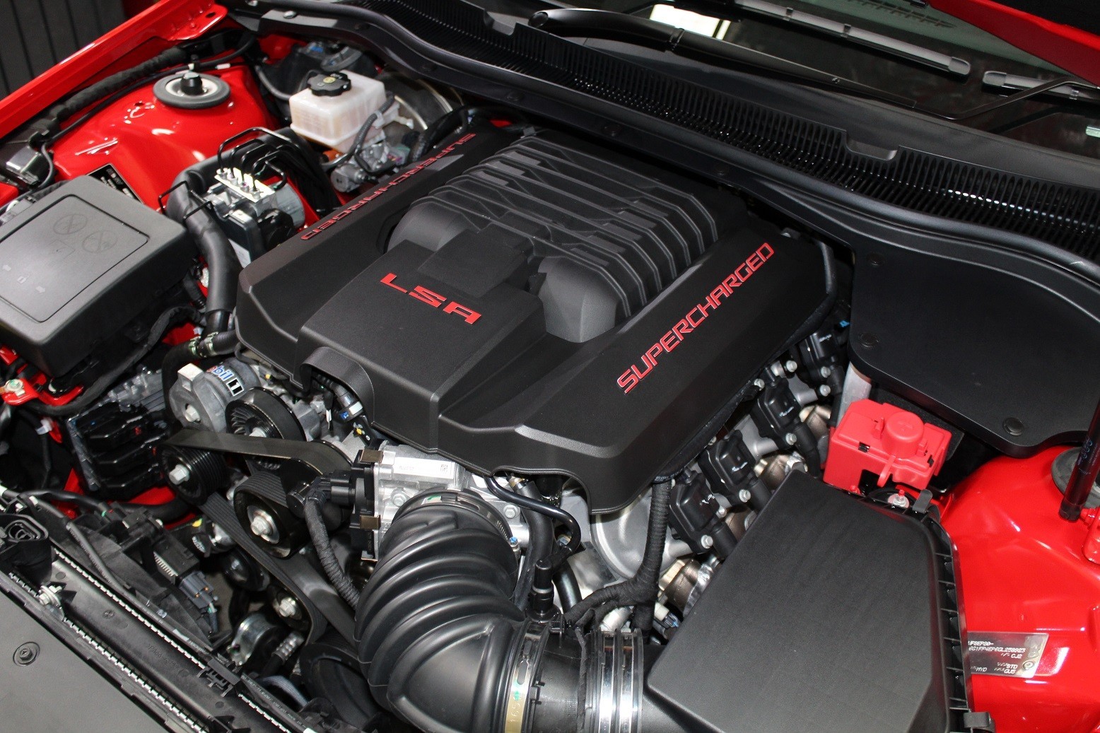 maloo1