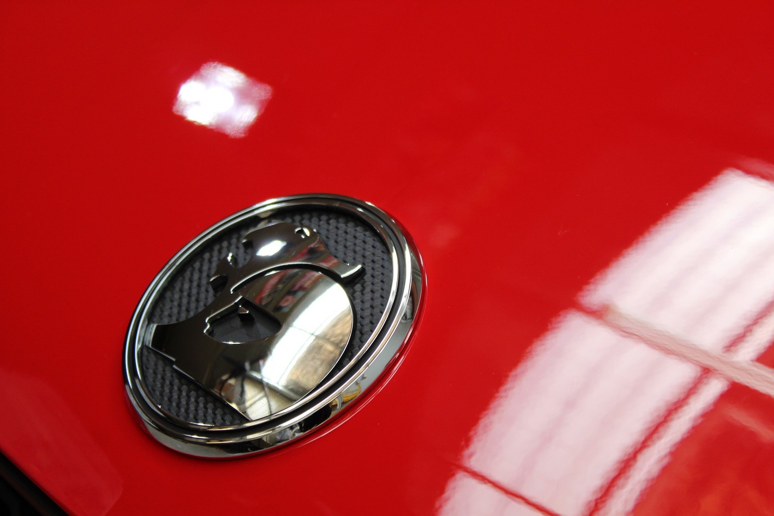 maloo18