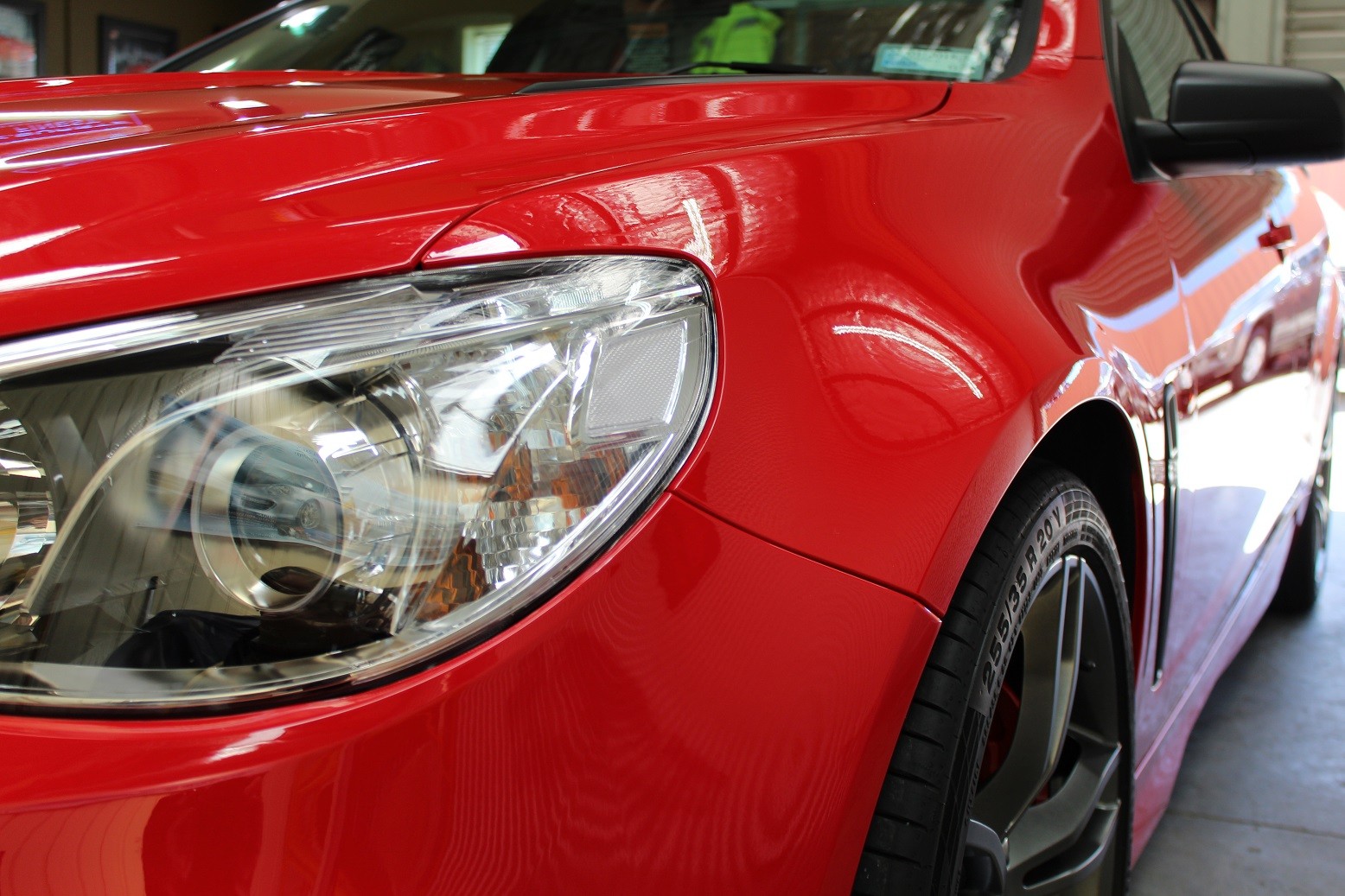 maloo19