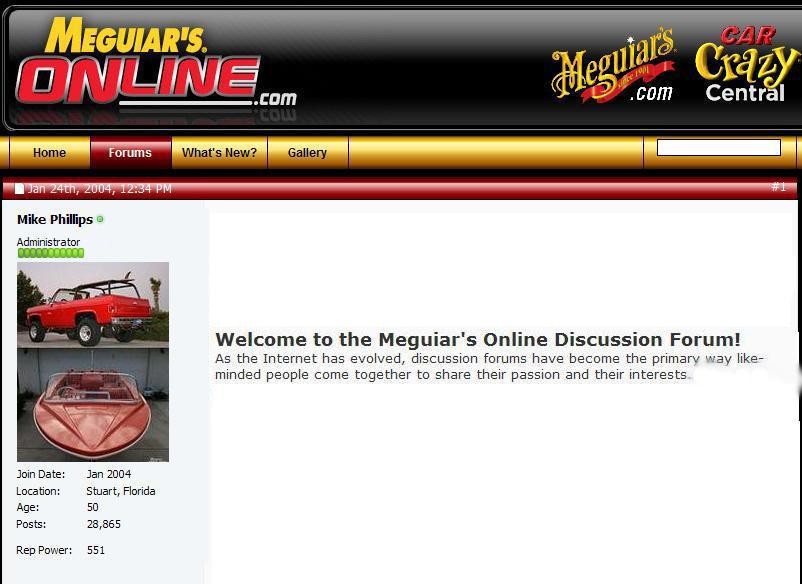 Meguiar's Online Introduction Paragraph by Mike Phillips