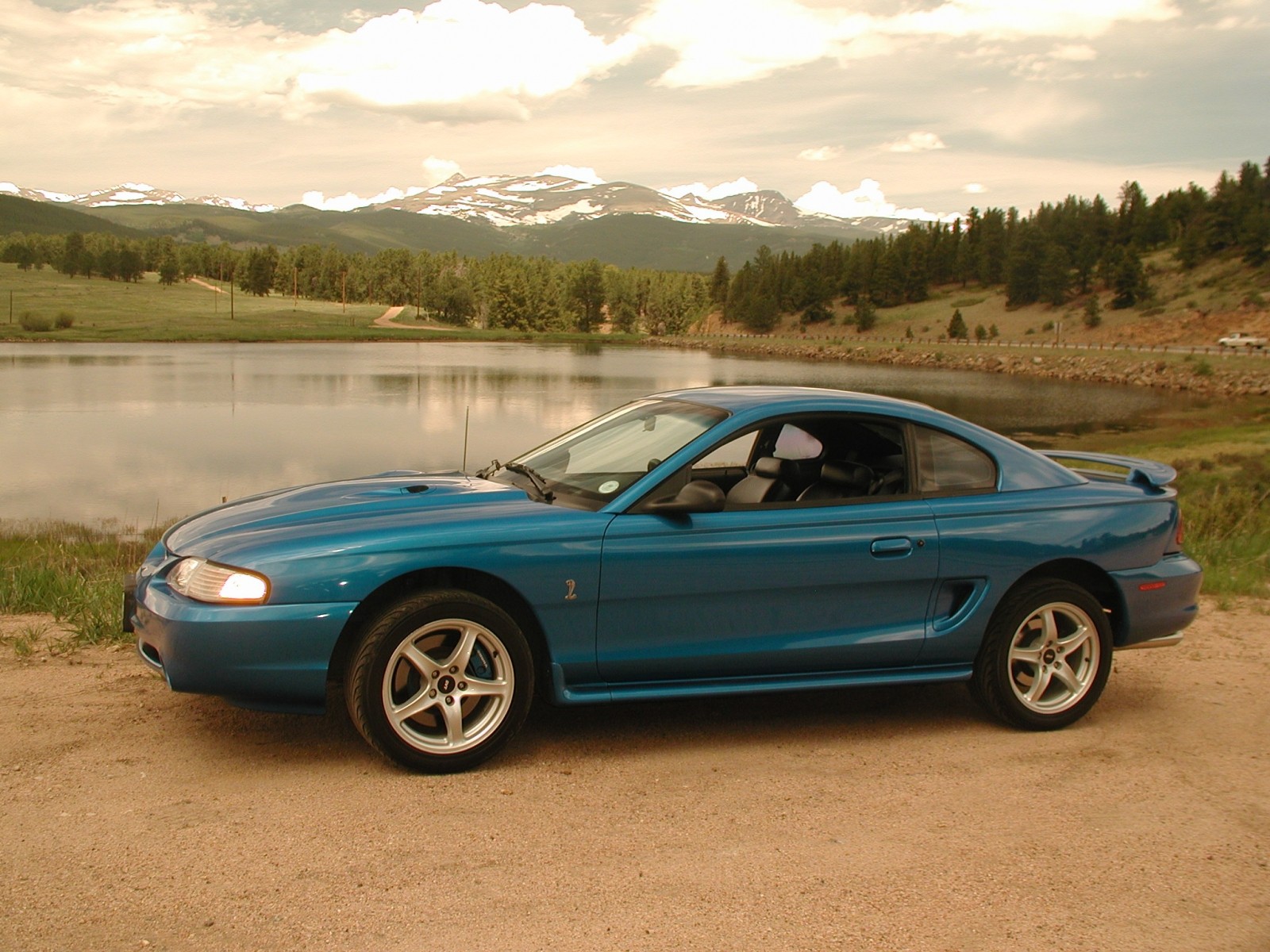 Mike's Bab Cobra