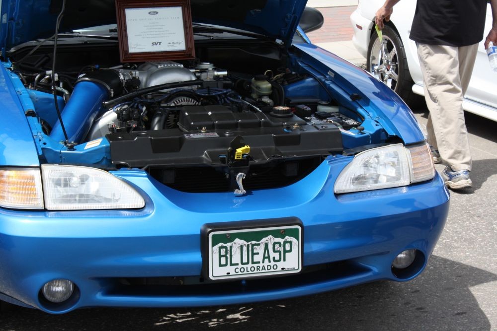 Mike's Bab Cobra