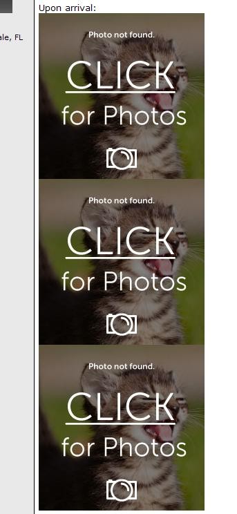Missing pictures via Photopost