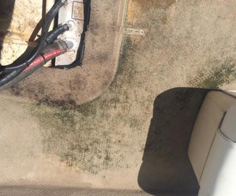 Mold Mitigation for Boats Parker Richards Mike Phillips