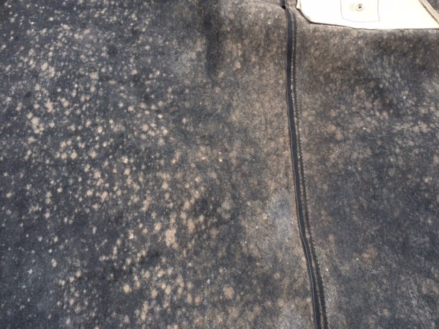 Mold Mitigation for Boats Parker Richards Mike Phillips