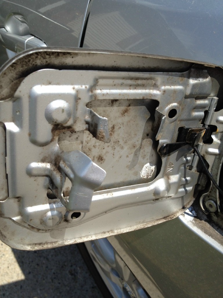 Mold1