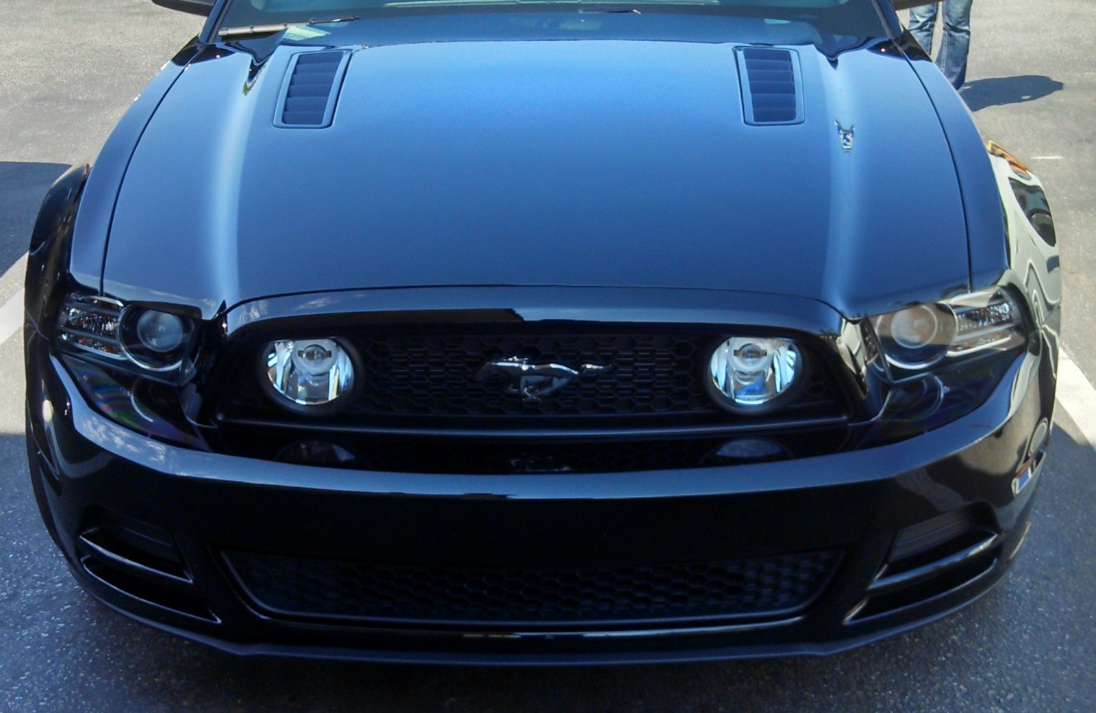 Mustang GT 5.0 Detail