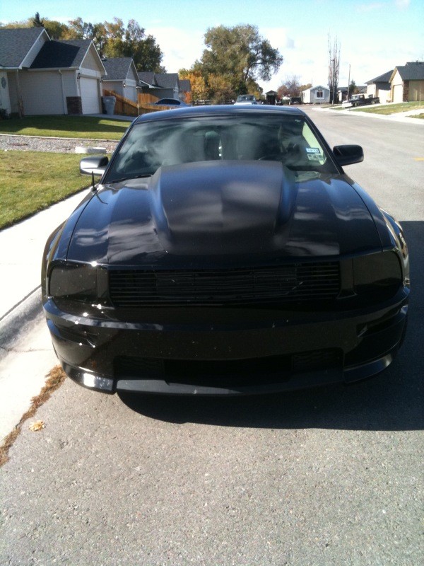 mustang hood 2