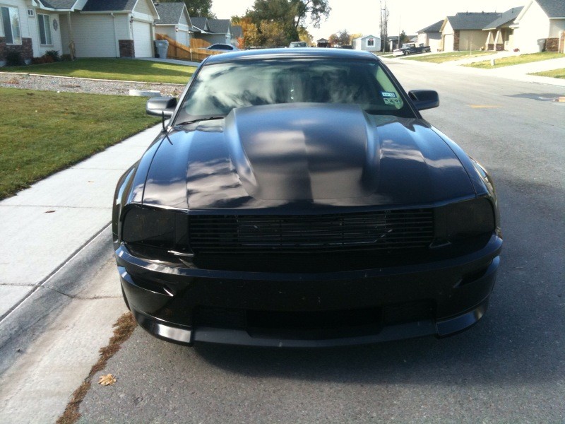 mustang hood