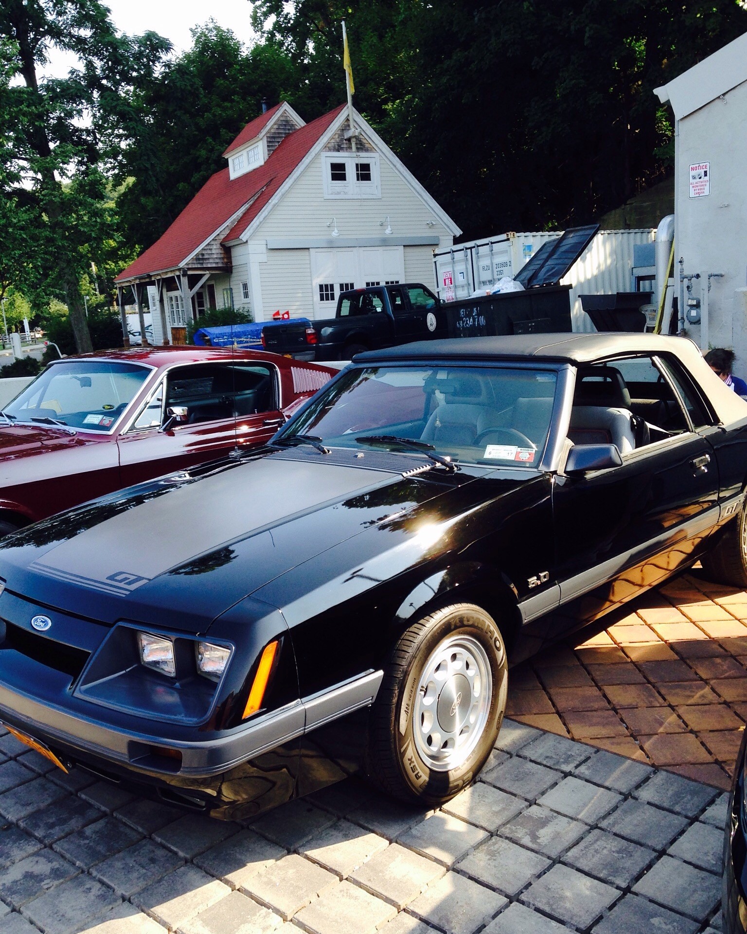 Mustang photos 2015