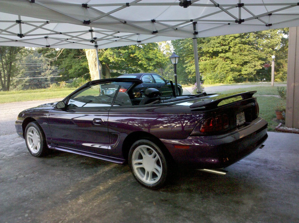 Mustang