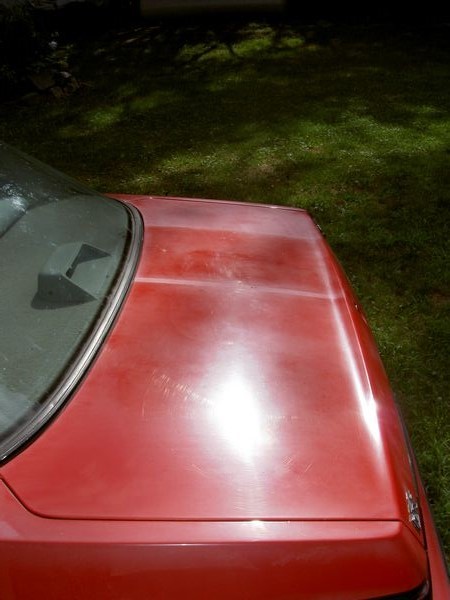 Mustang