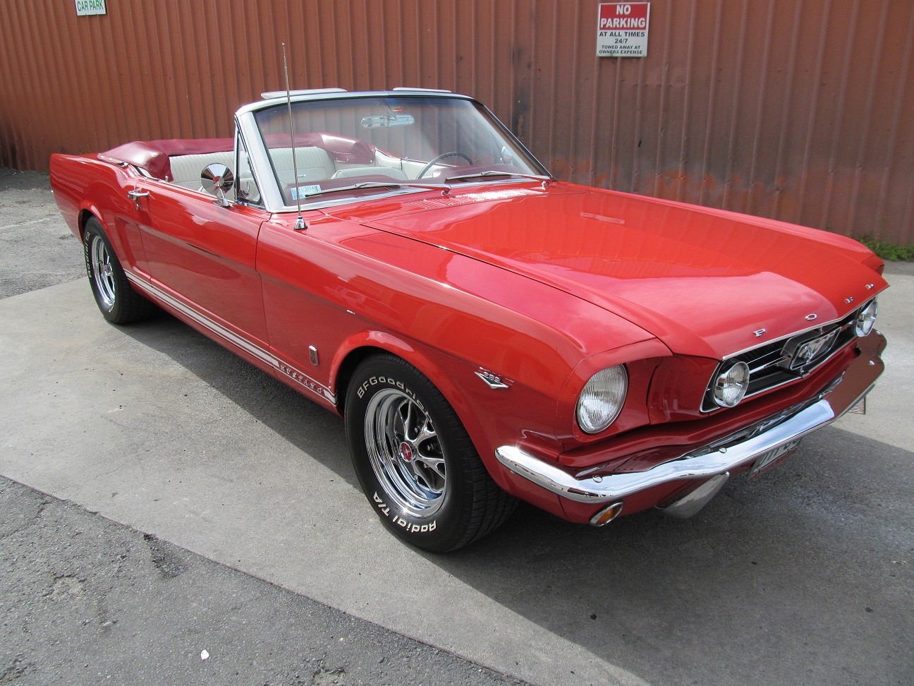 mustang19
