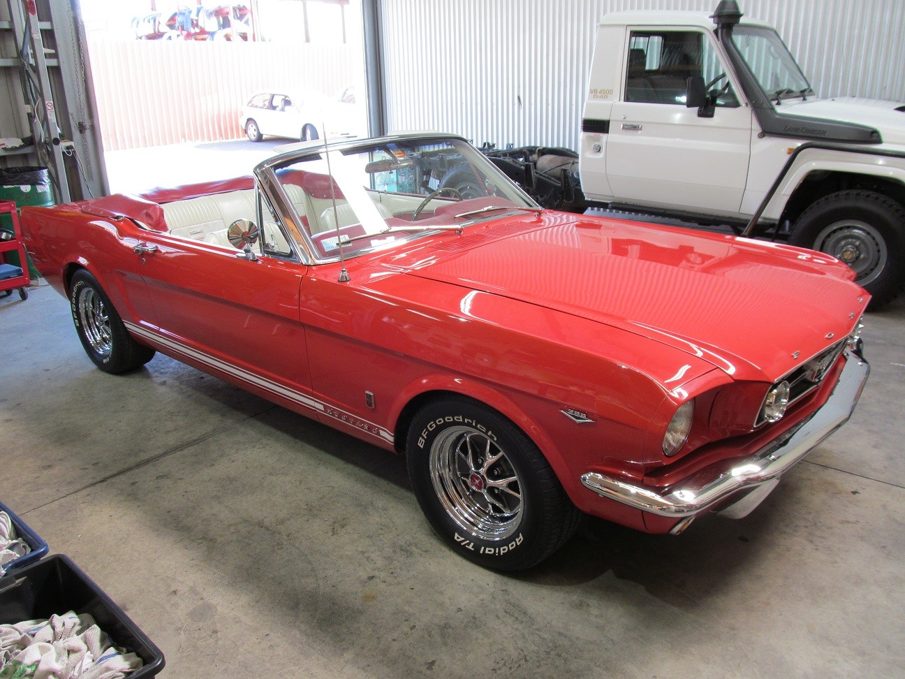mustang2