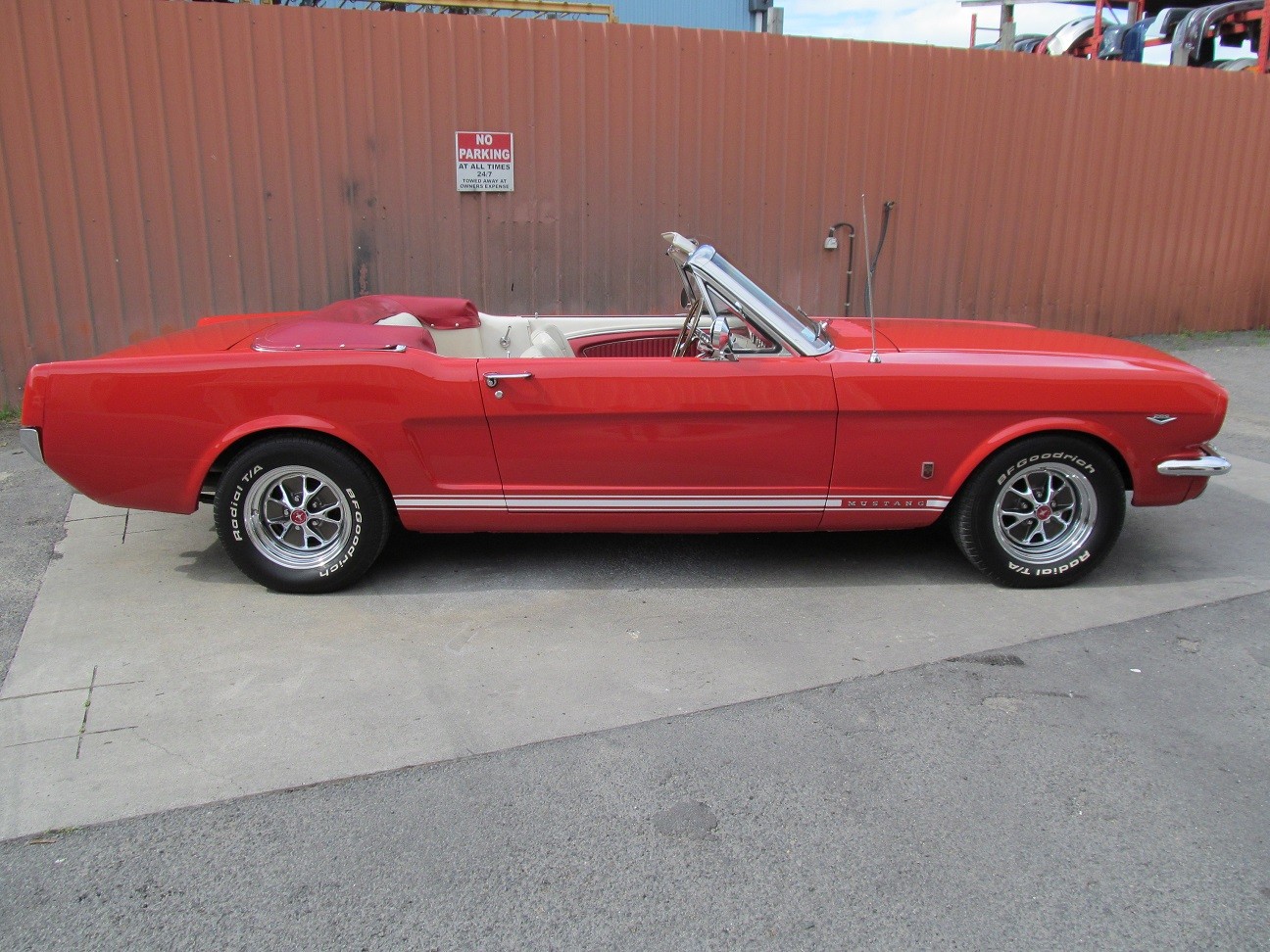 mustang24