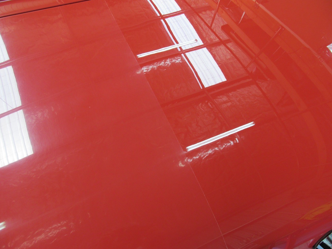 mustang7