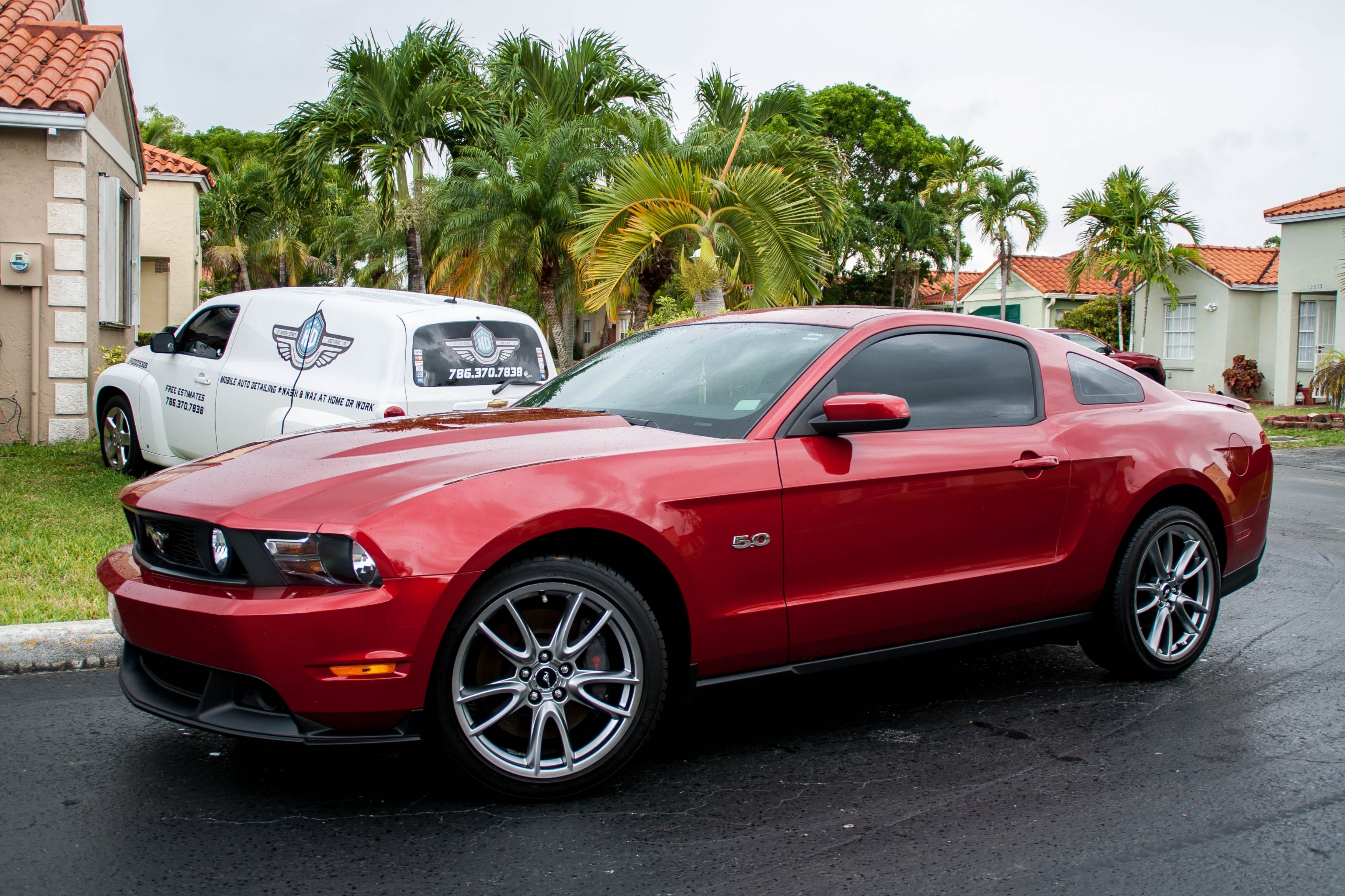 mustang_after_un_edited-2