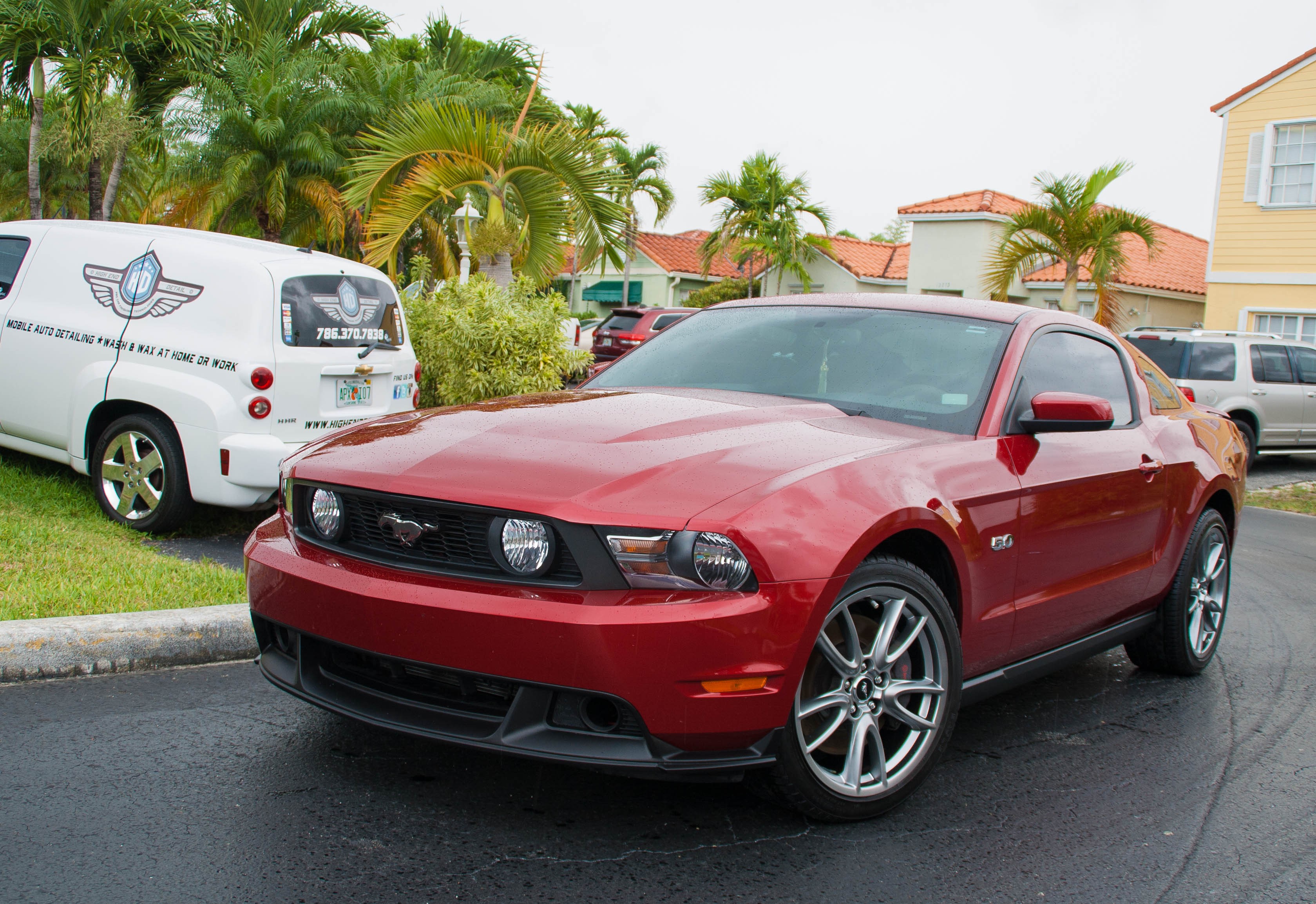 mustang_after_un_edited