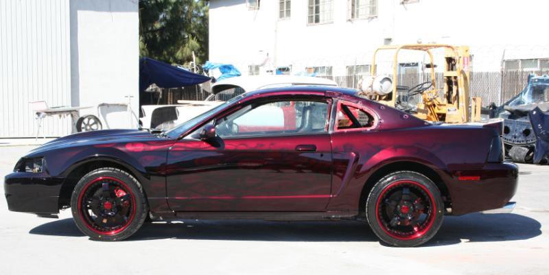 Mustangs Wetsanding by Mike Phillips