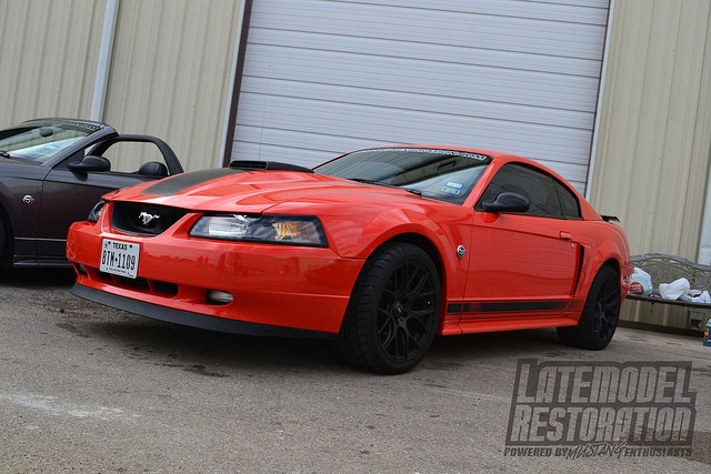 Mustangs