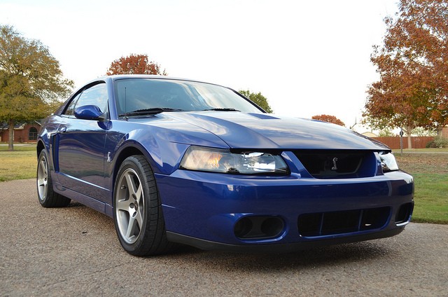 Mustangs