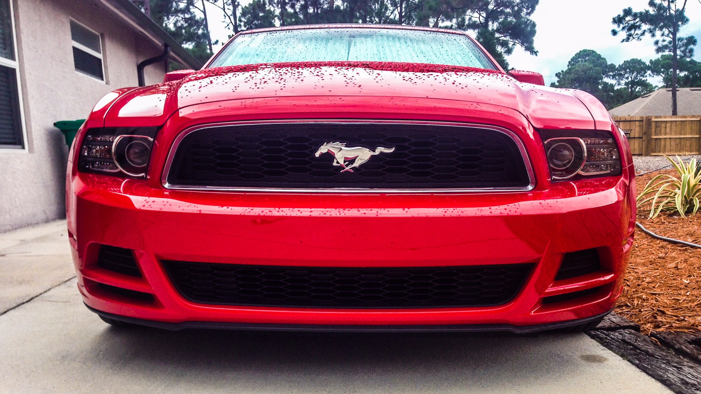 My 2014 Mustang V-6 rag top