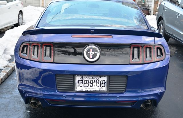My First Mustang