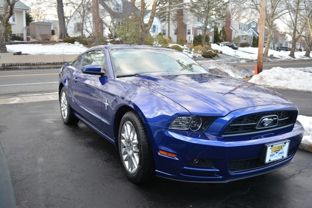 My First Mustang