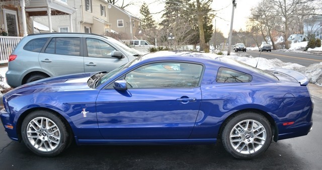 My First Mustang