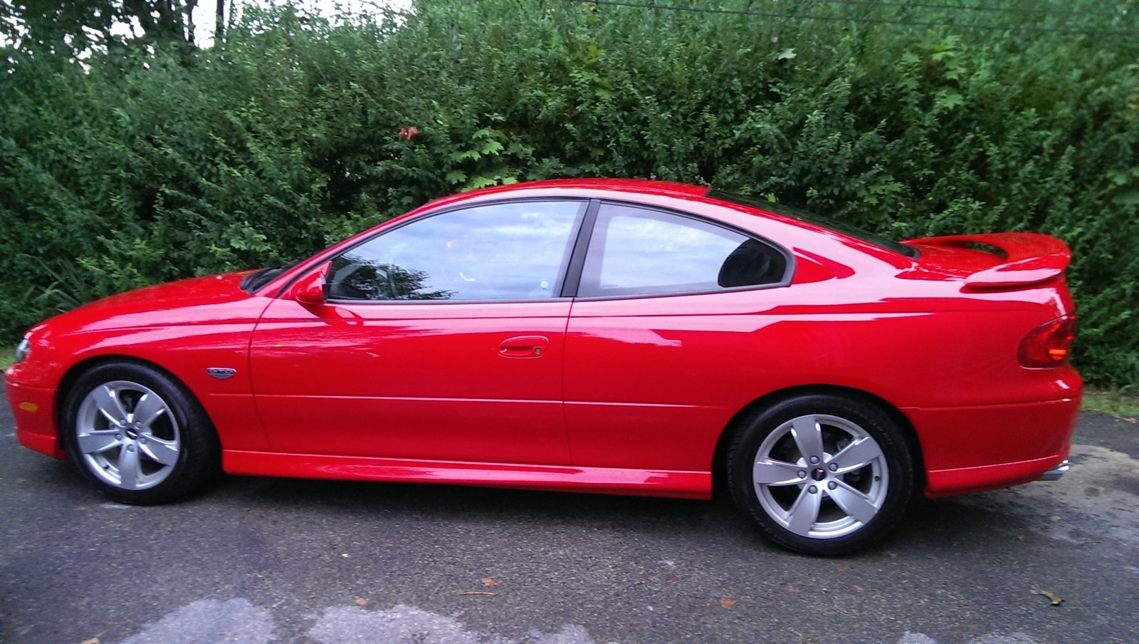 My gto
