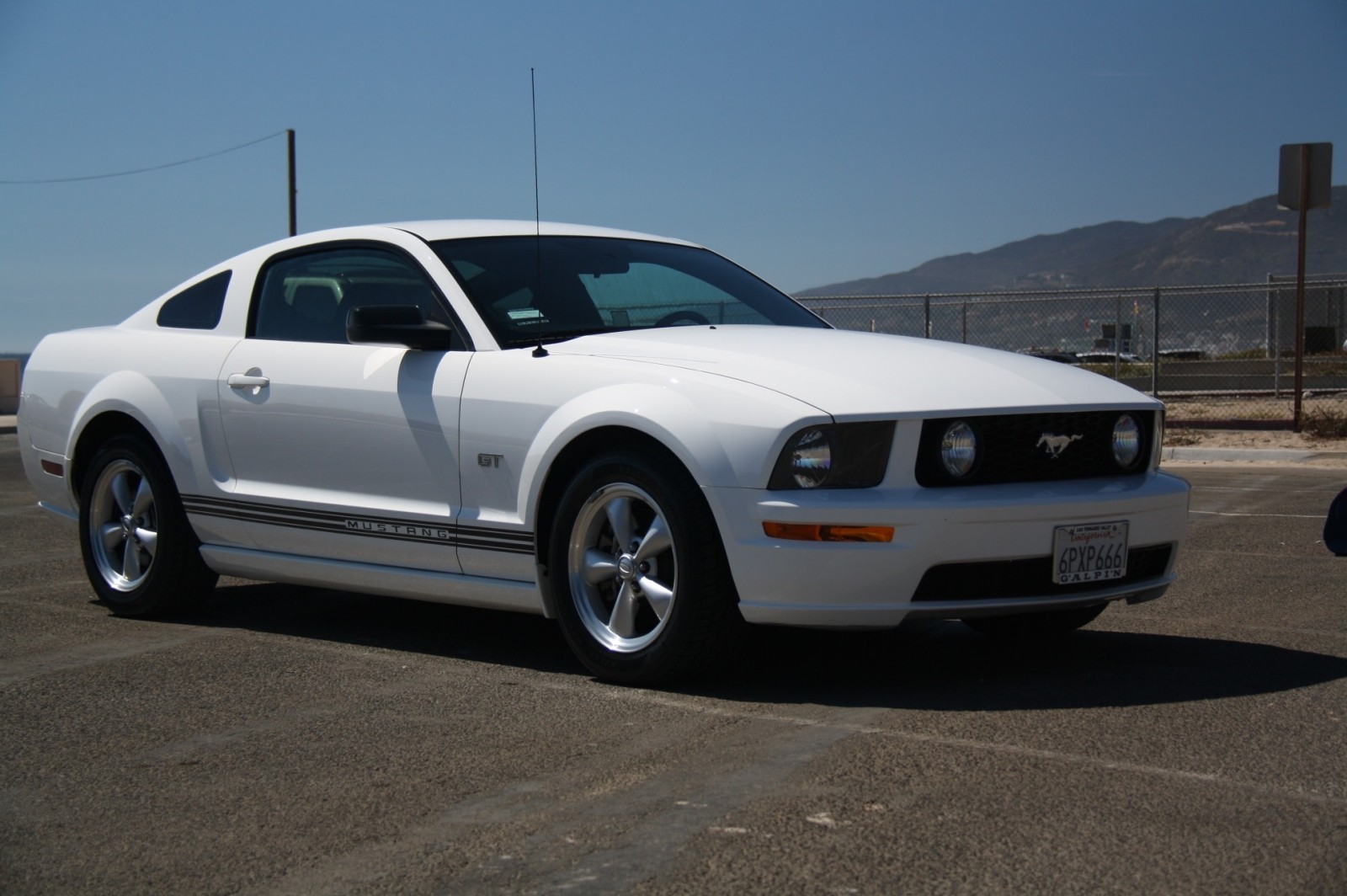 My Mustang V8