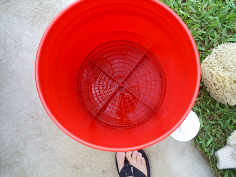 My_Bucket_DP_Soap