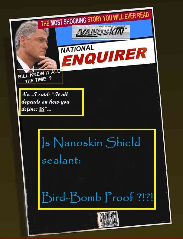 nanoskin3