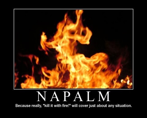 napalm_KILL_IT_KILL_IT_WITH_FIRE-s480x384-132463-580