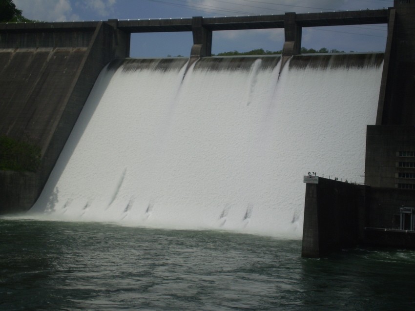 P1010037