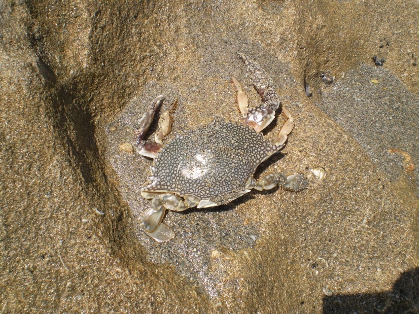 P1010292