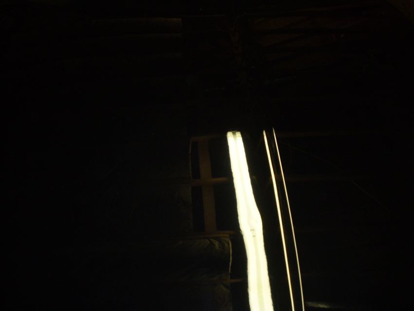 P10103342