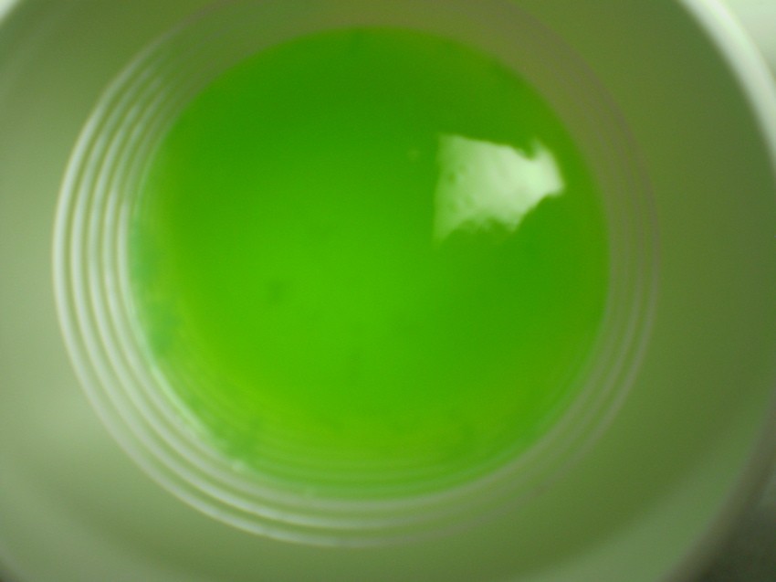 P1010374