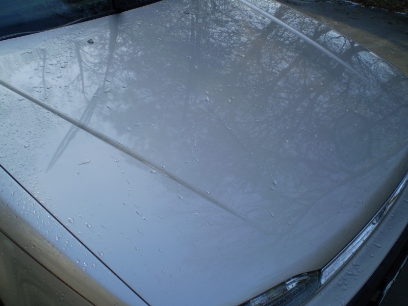 P2050069