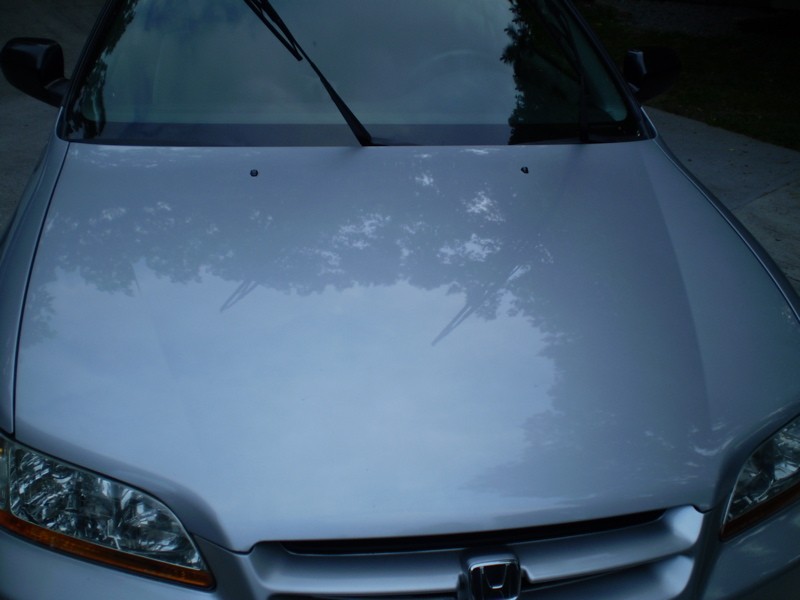 P5020156
