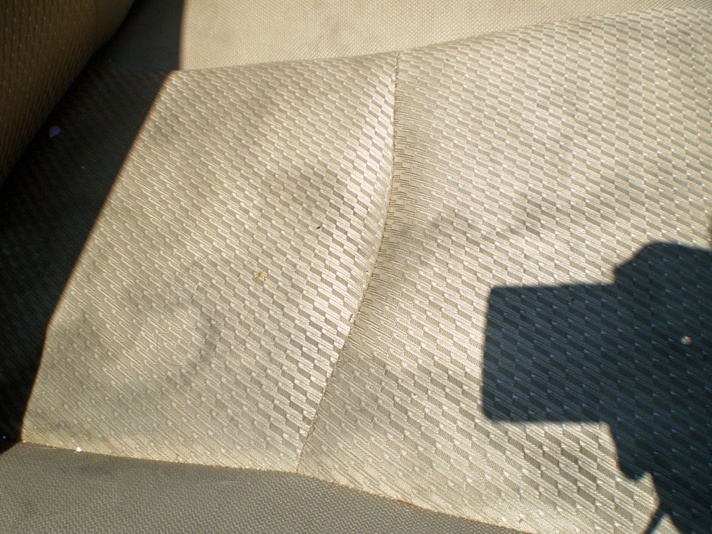 P6230008_edited