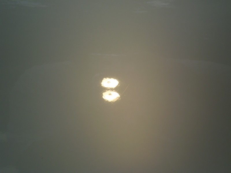 P7130285