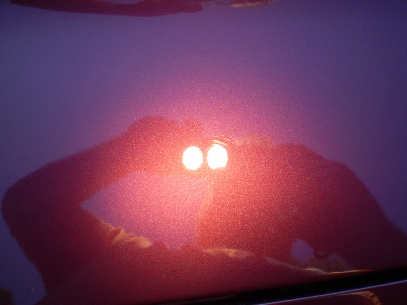 P8300420