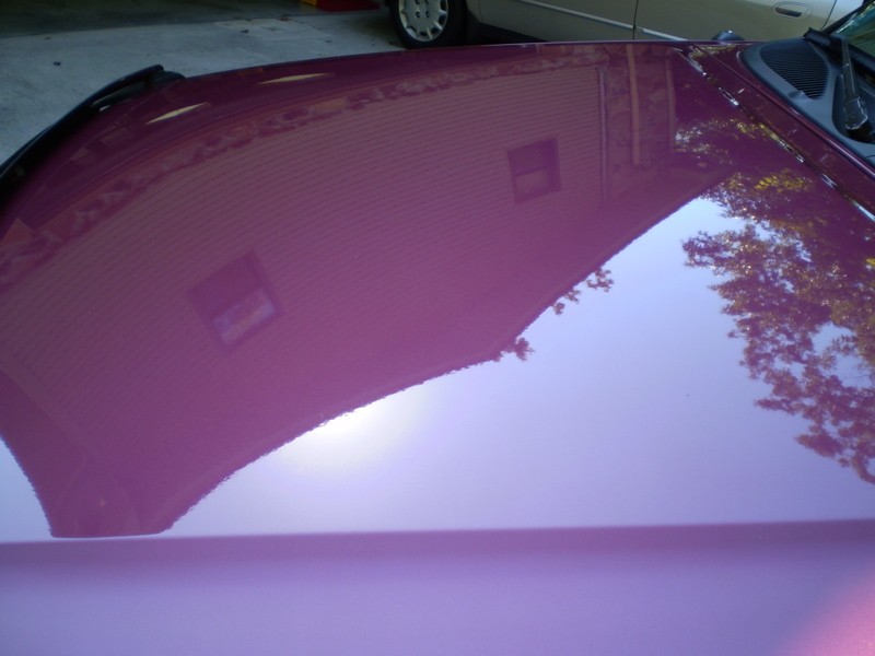 P8300427