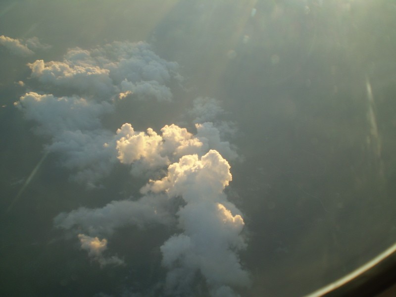 P9030088
