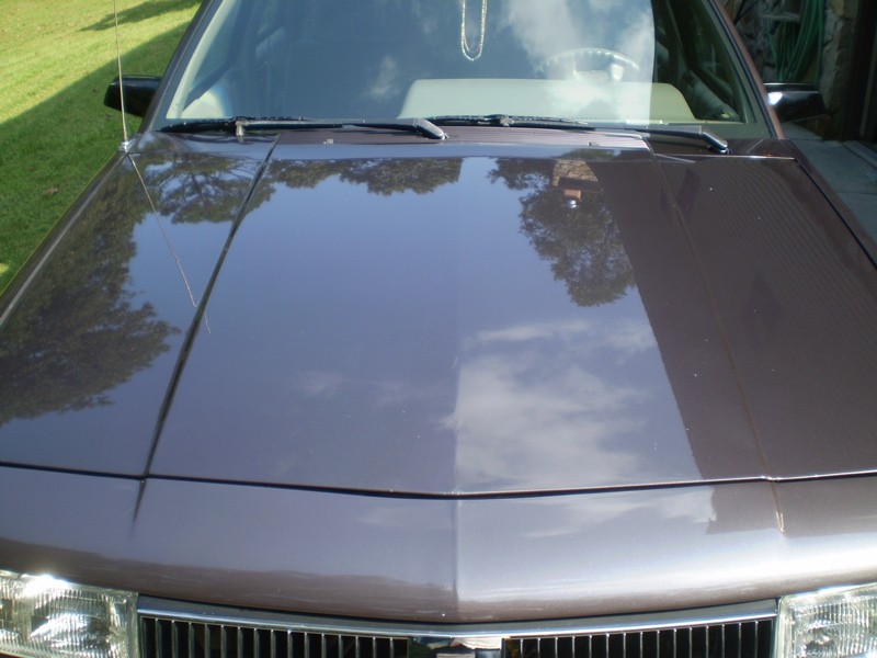 P9070104