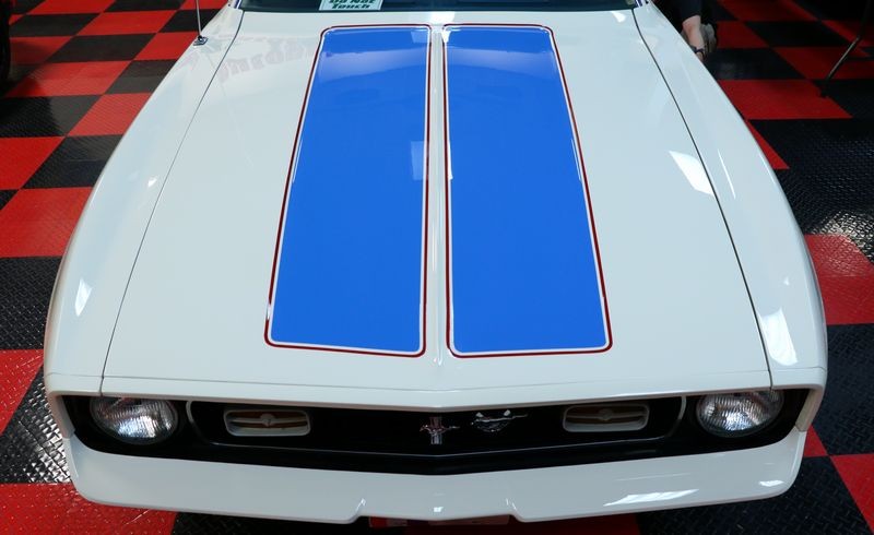 Paint Correction Griots Garage Mike Phillips Autogeek
